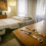 Apartament Trevi Little Palace #3 *